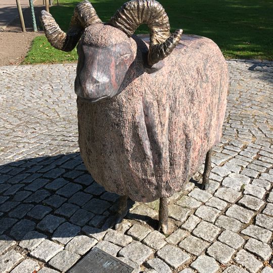 Der Schafbock