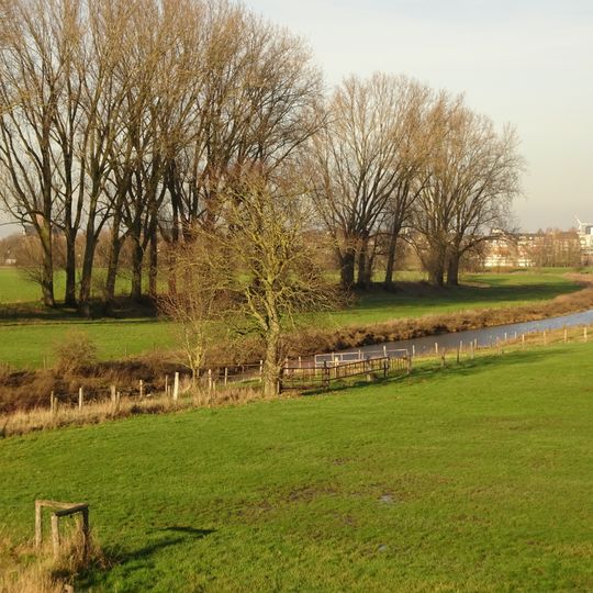 NSG Deichvorland bei Grieth mit Kalflack