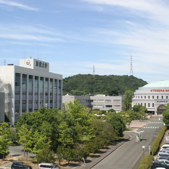 Hamamatsu University