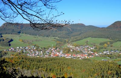 Immagine alternativa