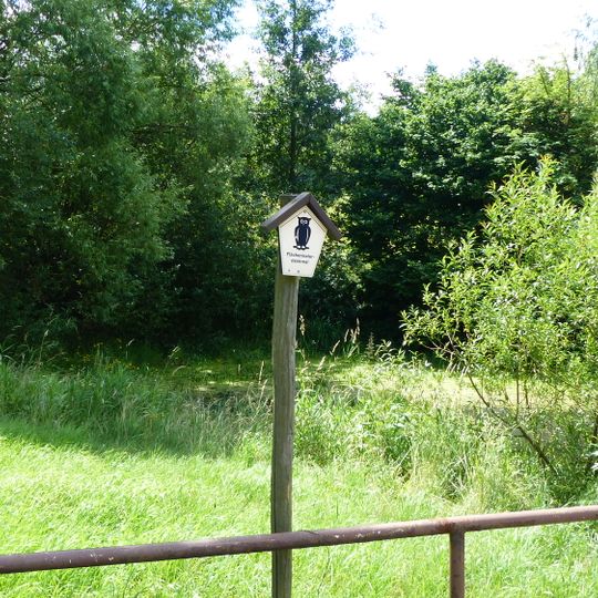 Naturdenkmal Wiesen und Teich Quohrener Strasse Bühlau Dresden