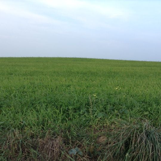 Tumulus de Rubrat Huella