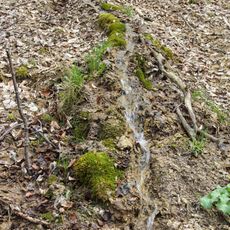 Steinerne Rinne von Oberweiler