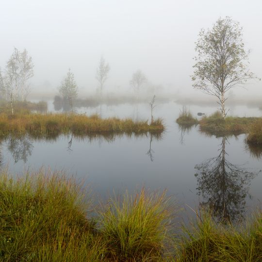 Área de Conservação da Paisagem de Jalase