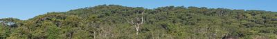 Panoramisch uitzicht 0
