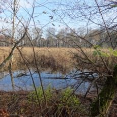 FFH-Gebiet Fließwiese Ruhleben