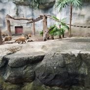 Quintana Roo'nun Gizli Hazineleri