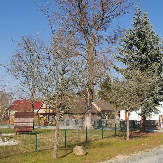 Naturdenkmal Bergulme am Kinderspielplatz in Dreska