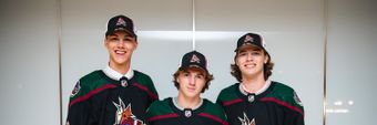 Arizona Coyotes Profile Cover