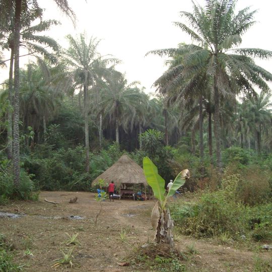 Distretto rurale  dell'Area Occidentale