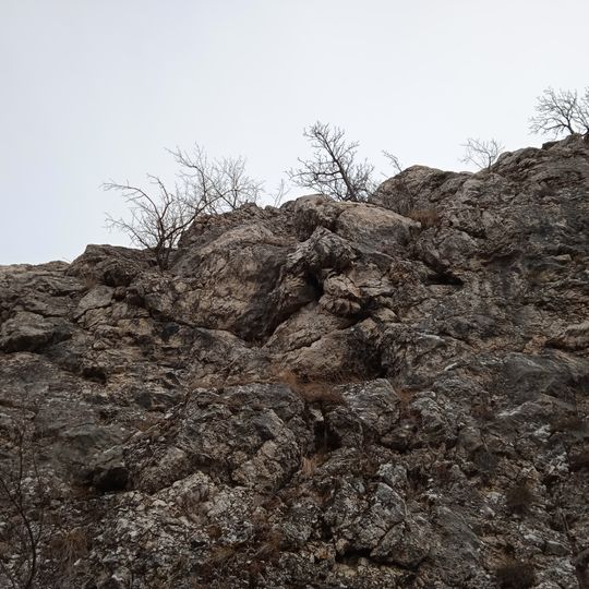 Margitliget köteles Niche