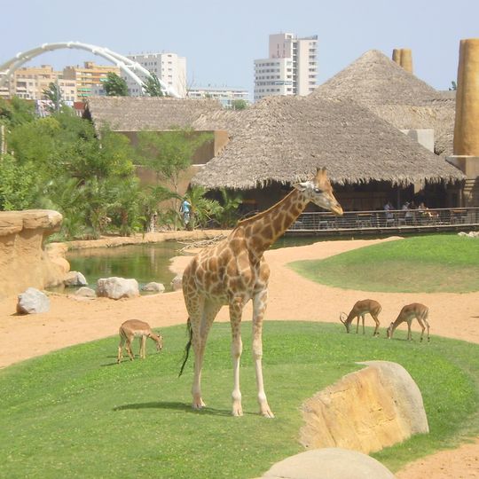 Bioparc Valencia