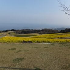 Awaji Hanasajiki