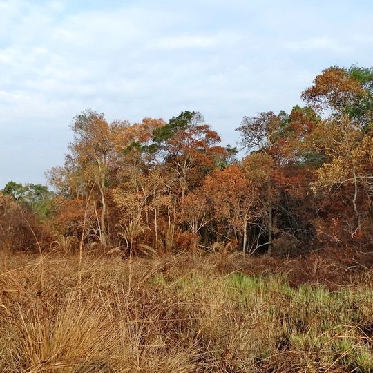 Minziro Forest Reserve