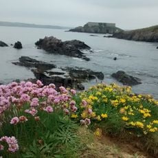 West Angle Bay