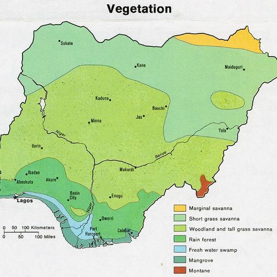 Niger Delta mangroves