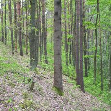 Nature reserve Kopanicha