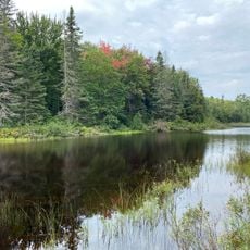 McCormick Wilderness