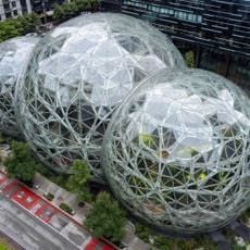 Amazon Spheres