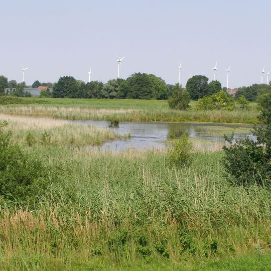 Zollenspieker/Kiebitzbrack