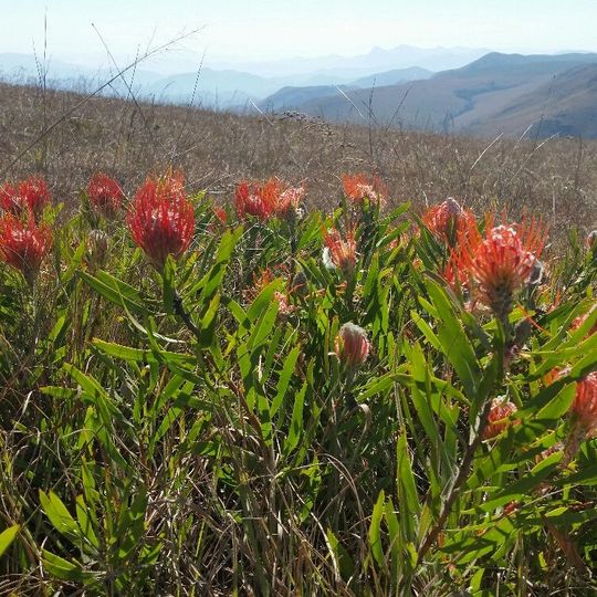 Mountainlands Nature Reserve