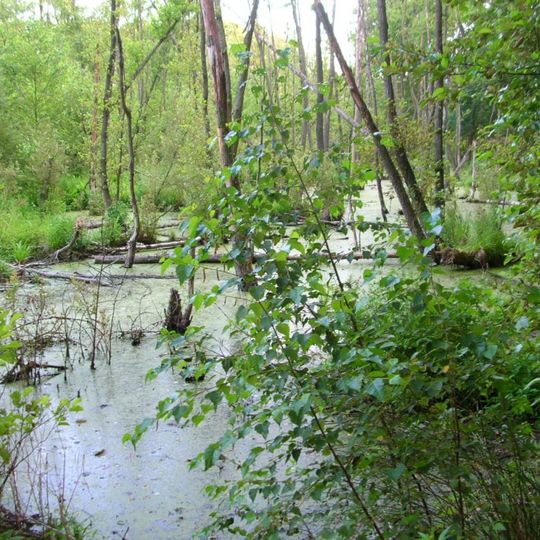 Nature reserve Augustowo
