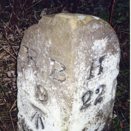 Milestone At Donkin Rigg Road End