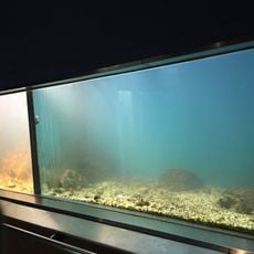 Museu de la Mar