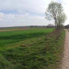 Punto di vista panoramico