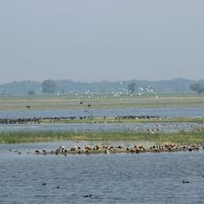 વઢવાણા તળાવ