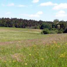 Feuchtgebiet im Christfeld