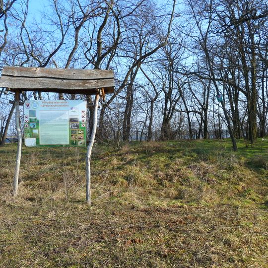 Révajovská pustatina