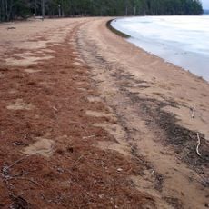 Foy Property Provincial Park