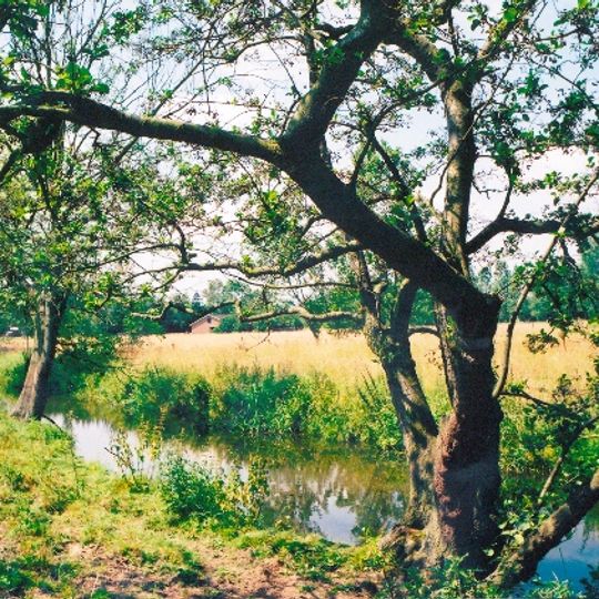 Kasteel van Meerbeek