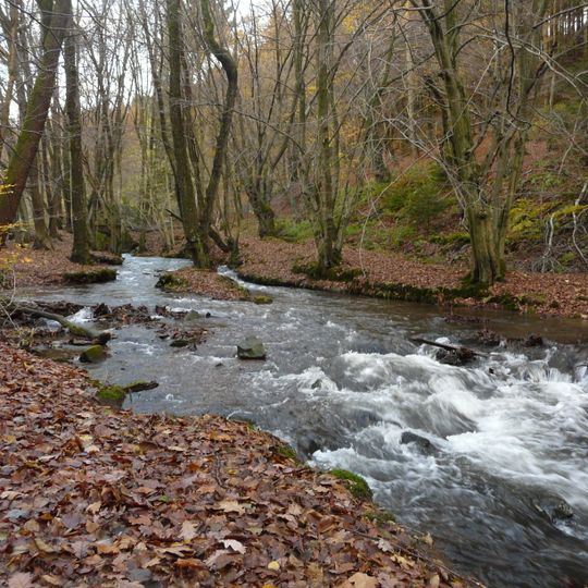 NSG Fliessgewaesssersystem Gelpe- und Saalbachtal