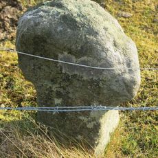 Smírčí kříž na pastvině severně od Horního Šenova