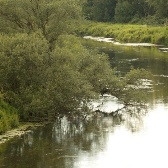 NSG Lippeaue von Wethmar bis Lünen