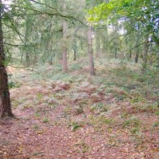 Tumulus de Plorec-sur-Arguenon