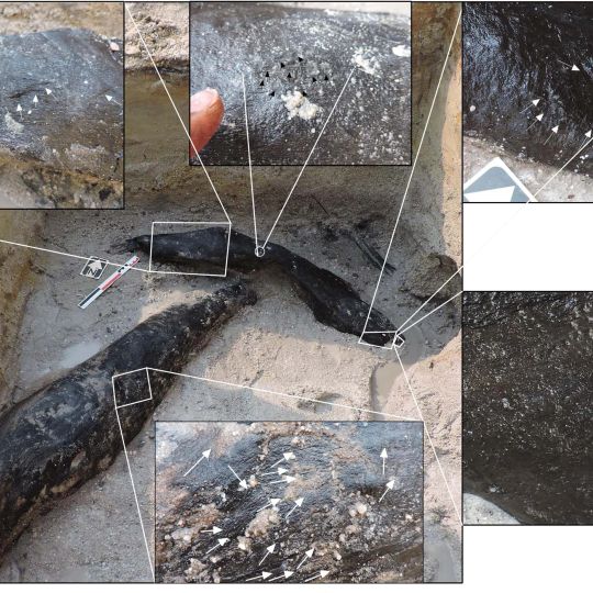 Structure de Kalambo