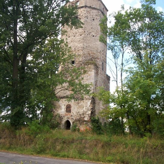 Saint Nicholas church tower in Oleszna Podgórska