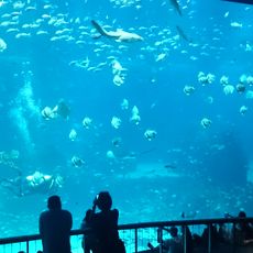 Adventure Cove And Sea Aquarium