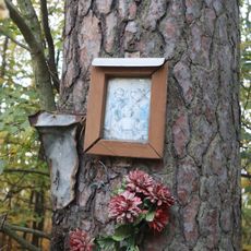 Svatý obrázek u silnice 393 u Rapotic