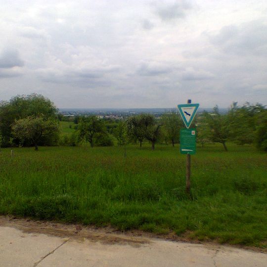 Prügelwiesen bei Wiesbaden in Breckenheim