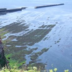 Helgoländer Felssockel