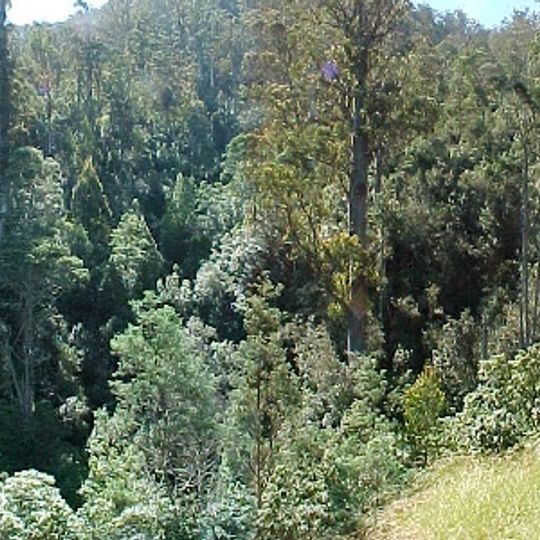 Lookout at Huon Bush Retreats, Tasmania