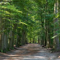 Upstalsboom und Umgebung