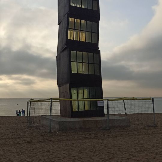 L'estel ferit