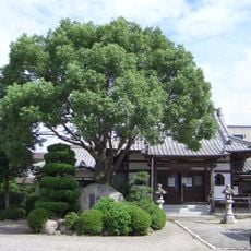 密蔵院
