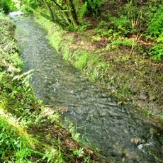 Ruisseau d'Évegnée