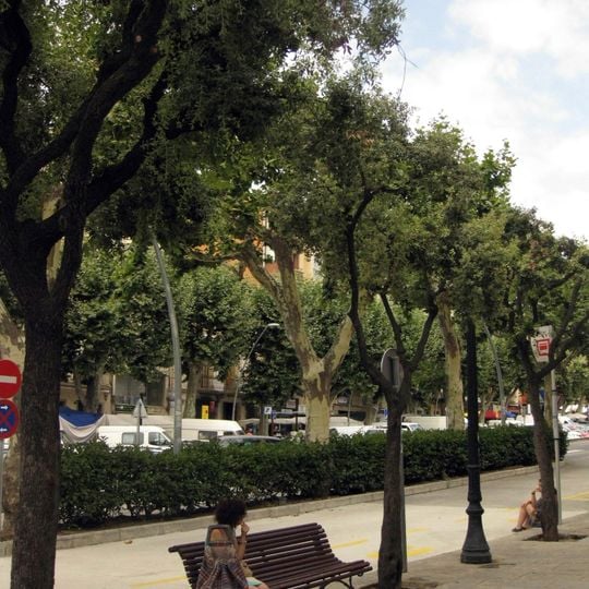 Trees and sidewalks in riera d'Arenys de Mar